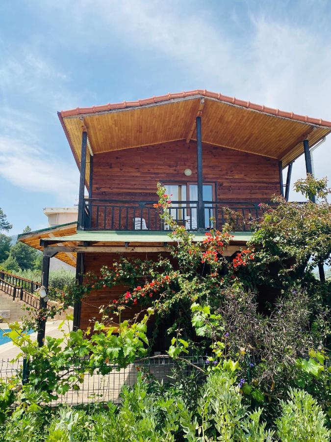 7 Green Adrasan Dış mekan fotoğraf